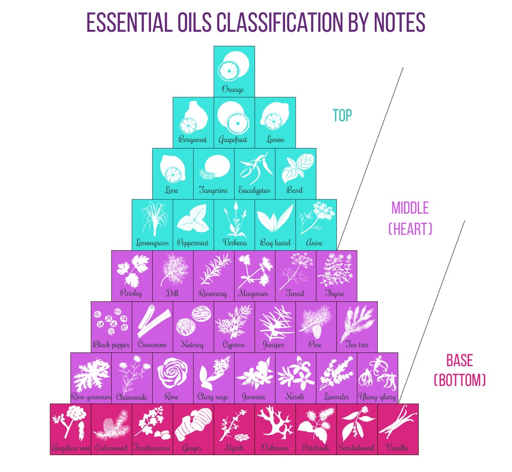 aromatherapy and essential oils classification