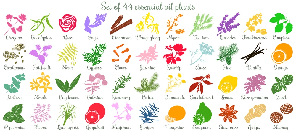 44 essential oil plants